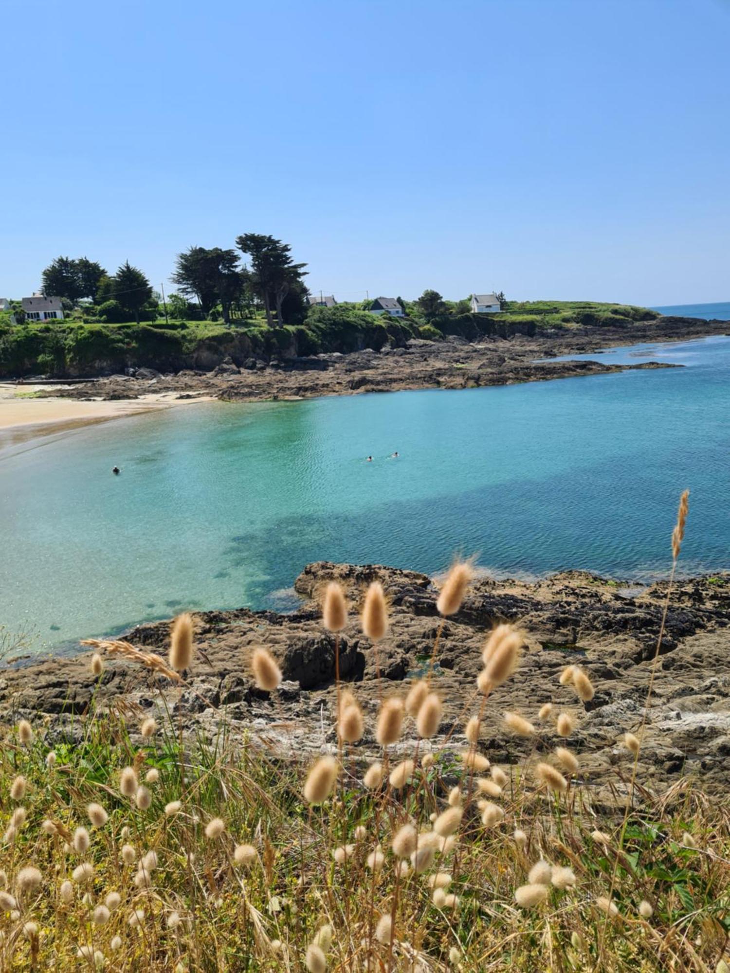 Les Mouettes Qui Caquetent * Moelan-sur-Mer